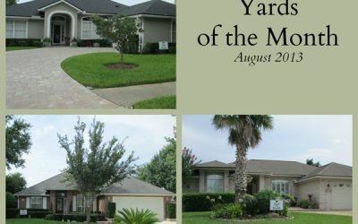 Yards of the Month 2013